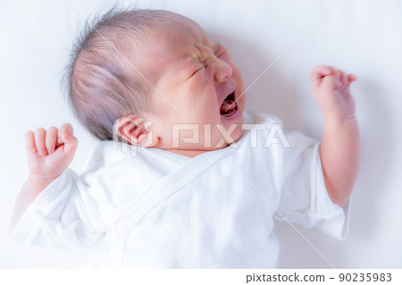 Newborn Newborn Photo 90235983