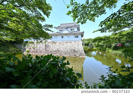 近江“水口城”和“水口岡山城”的來輪和石垣 近江“水口城”和“水口岡山城”的來輪和石垣 90237183