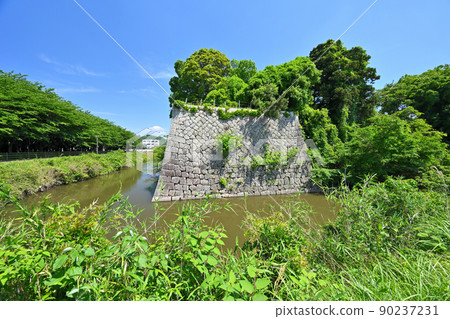 近江“水口城”和“水口岡山城”的來輪和石垣 90237231