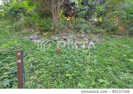 近江“水口城”和“水口岡山城”的來輪和石垣 近江“水口城”和“水口岡山城”的來輪和石垣 90237266