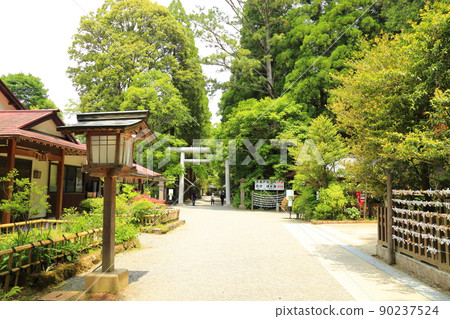 Amanoiwato Shrine Nishihongu [Takachiho Town, Miyazaki Prefecture] 90237524