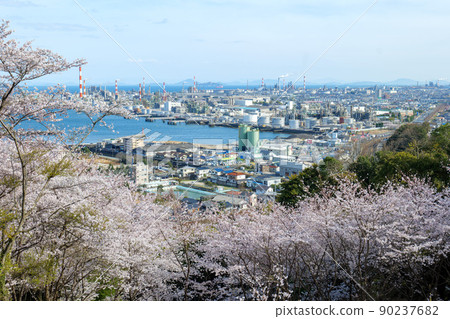 大竹市龜井公園的櫻花 90237682