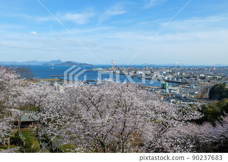 大竹市龜井公園的櫻花 90237683