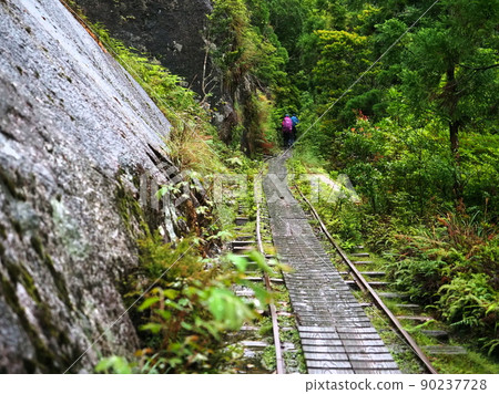 Yakushima trekking course "Japanese style image" (Yakushima) Yakushima trekking course "Japanese style image" (Yakushima) 90237728