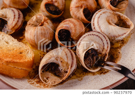 snails with butter on a plate snails with butter on a plate 90237970
