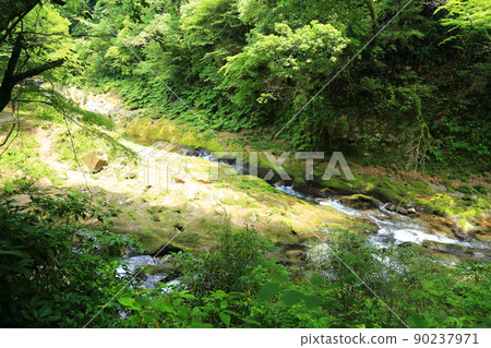 Amanoyasukawara [Takachiho Town, Miyazaki Prefecture] 90237971