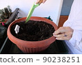 gardening home. Girl replanting green pasture in home garden.indoor garden,room with plants banner Potted green plants at home, home jungle,Garden room gardening, Plant room, Floral decor. 90238251