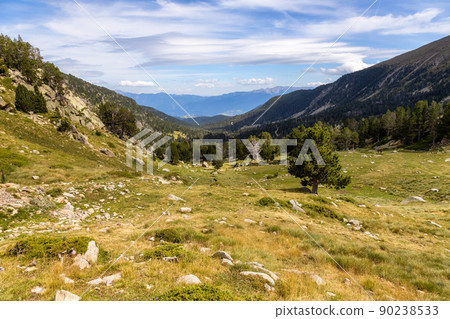 Summer landscape in La Cerdanya, Pyrenees mountain, Catalonia, Spain. Summer landscape in La Cerdanya, Pyrenees mountain, Catalonia, Spain. 90238533