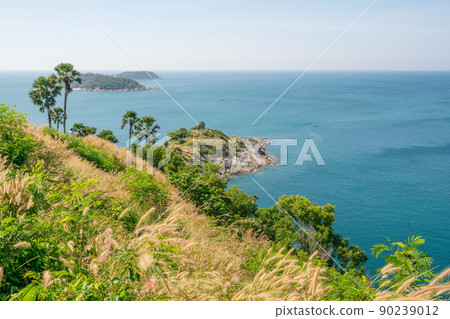 Phuket island Laem promthep cape with coconut palm trees and grass in the foreground beautiful scenery andaman sea in summer season Phuket thailand Beautiful travel background 90239012