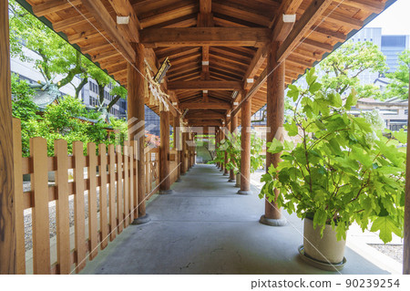 界內北側的Ikasuri神社，Setsumatsusha組（大阪市本町，新鮮的綠色季節） 90239254