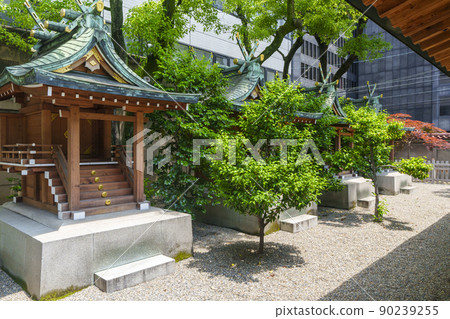 界內北側的Ikasuri神社,Setsumatsusha組(大阪市本町,新鮮的綠色季節) 界內北側的Ikasuri神社,Setsumatsusha組(大阪市本町,新鮮的綠色季節) 90239255