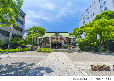 Ikasuri神社本堂（大阪市本町，新鮮的綠色季節） 90239315