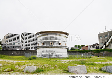 兵庫西宮市西宮軍台(小橋園浜/御前浜)(初夏) 兵庫西宮市西宮軍台(小橋園浜/御前浜)(初夏) 90239699