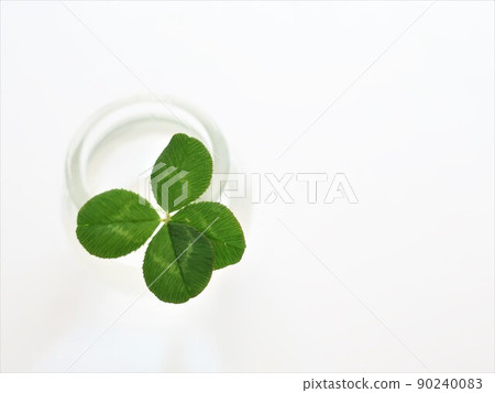 Four-leaf clover of happiness 90240083