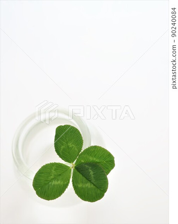 四葉草的幸福 四葉草的幸福 90240084