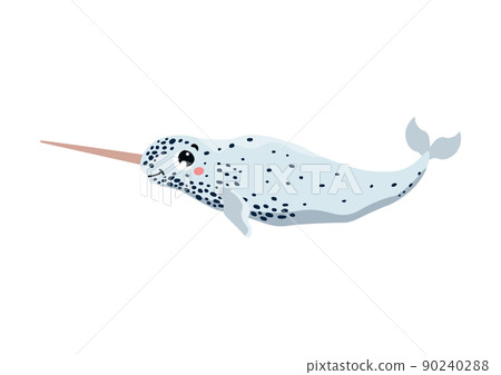 Narwhal or unicorn of the sea northern animal, vector illustration isolated. Narwhal or unicorn of the sea northern animal, vector illustration isolated. 90240288