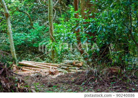 砍伐森林 90240886