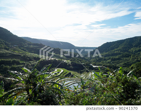 The century-old terraced fields of Shimen Songshan in New Taipei City, Taiwan 90241370