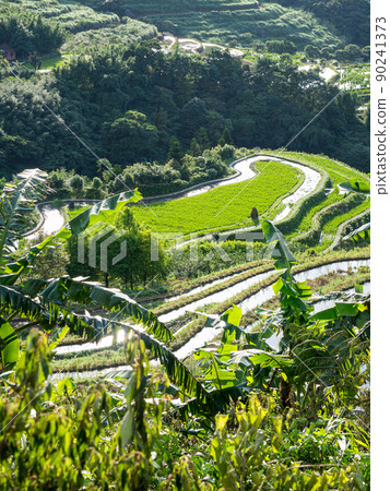 The century-old terraced fields of Shimen Songshan in New Taipei City, Taiwan 90241373