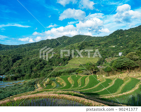 The century-old terraced fields of Shimen Songshan in New Taipei City, Taiwan The century-old terraced fields of Shimen Songshan in New Taipei City, Taiwan 90241377