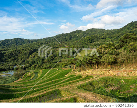 The century-old terraced fields of Shimen Songshan in New Taipei City, Taiwan The century-old terraced fields of Shimen Songshan in New Taipei City, Taiwan 90241386