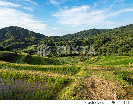 The century-old terraced fields of Shimen Songshan in New Taipei City, Taiwan 90241396