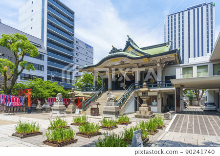 Namba Shrine Fresh Green Season (Bakuromachi, Chuo-ku, Osaka City, Osaka Prefecture) 90241740