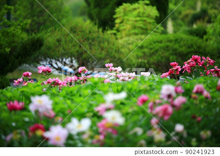 春天的風景，順天灣國家花園 90241923