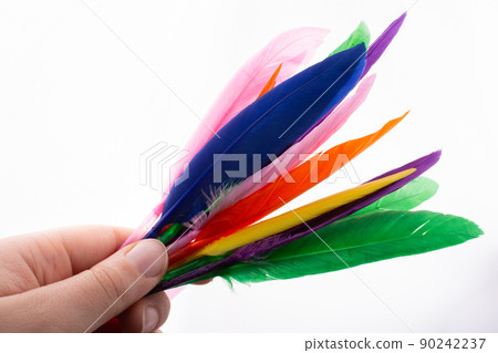 Studio shot photo colored bird feathers as texture background Studio shot photo colored bird feathers as texture background 90242237