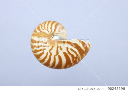 Cockpit shell Cockpit shell 90242696