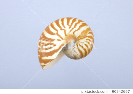 Cockpit shell Cockpit shell 90242697