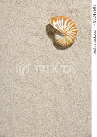 Cockpit shell Cockpit shell 90242698