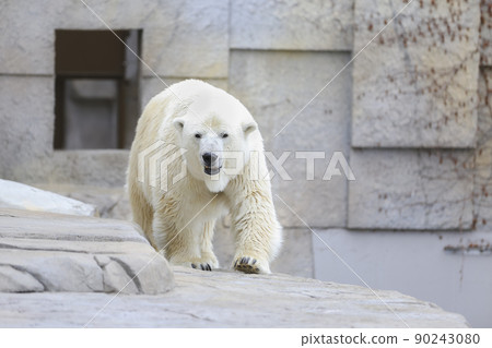 白色的天空 白色的天空 90243080