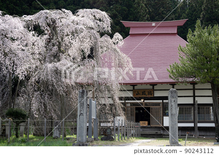 Sakura of Eizumiji Temple Spring scenery 90243112