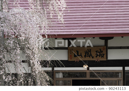 Sakura of Eizumiji Temple Spring scenery Sakura of Eizumiji Temple Spring scenery 90243113