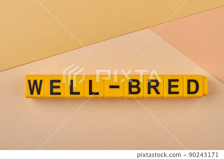 The inscription well-bred written on yellow cubes against light background. 90243171