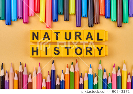 The inscription Natural history written on yellow cubes against color background. The inscription Natural history written on yellow cubes against color background. 90243371