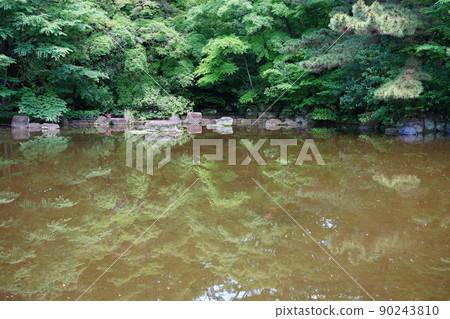 光丘公園池塘 90243810