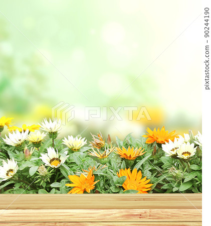 Adonis vernalis (Pheasant's eye) flowers and old wooden plank on green sunny background 90244190