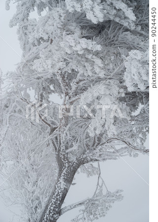 Frigid world 90244450