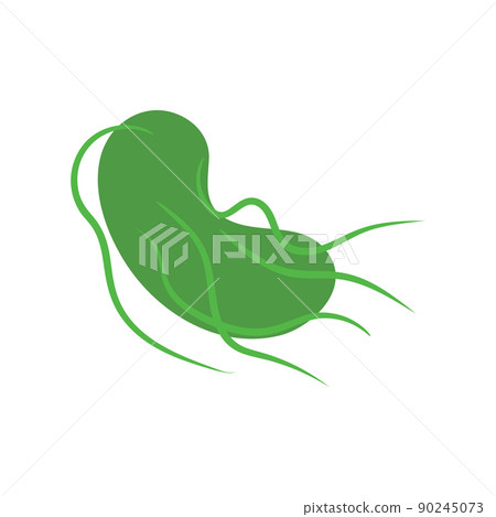 Salmonella Typhi bacteria cell medical diagram icon 90245073