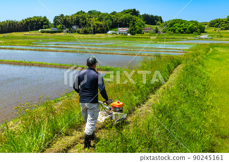 在休耕地的岸邊用自行式割草機除草 在休耕地的岸邊用自行式割草機除草 90245161