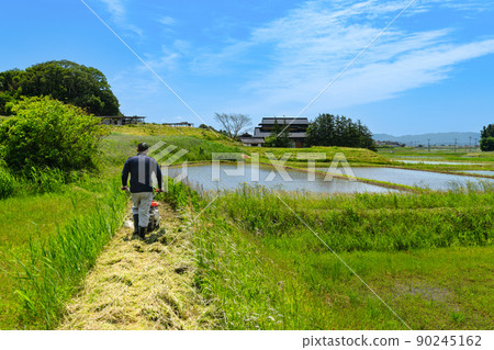 在休耕地的岸邊用自行式割草機除草 90245162