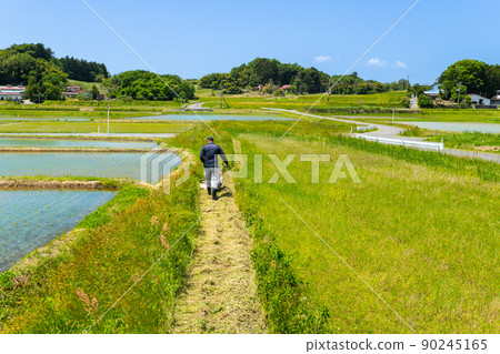 Weeding work with a self-propelled mower on the shore of a fallow field 90245165