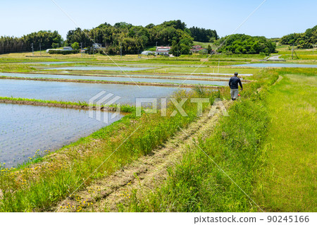 Weeding work with a self-propelled mower on the shore of a fallow field Weeding work with a self-propelled mower on the shore of a fallow field 90245166