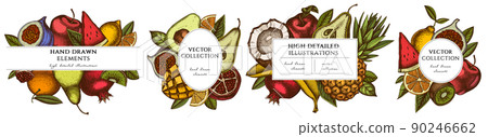 Fruits hand drawn frame templates. Vintage illustrations of bananas, pears, kiwi fruit, apples Fruits hand drawn frame templates. Vintage illustrations of bananas, pears, kiwi fruit, apples 90246662