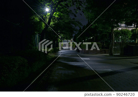 Night park with trees and walking paths 90246720
