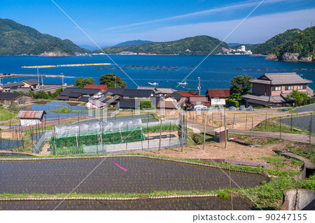 《福井縣》 寧靜的鄉村，響梯田 90247155