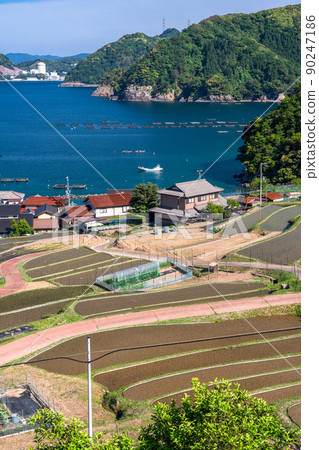 《福井縣》 寧靜的鄉村，響梯田 90247186