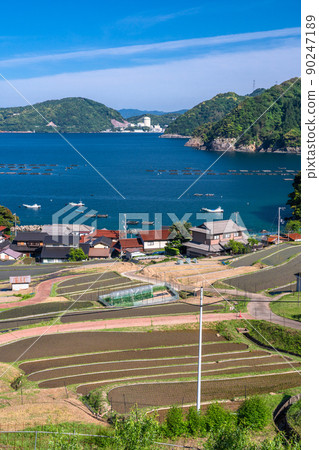 《福井縣》 寧靜的鄉村，響梯田 90247189